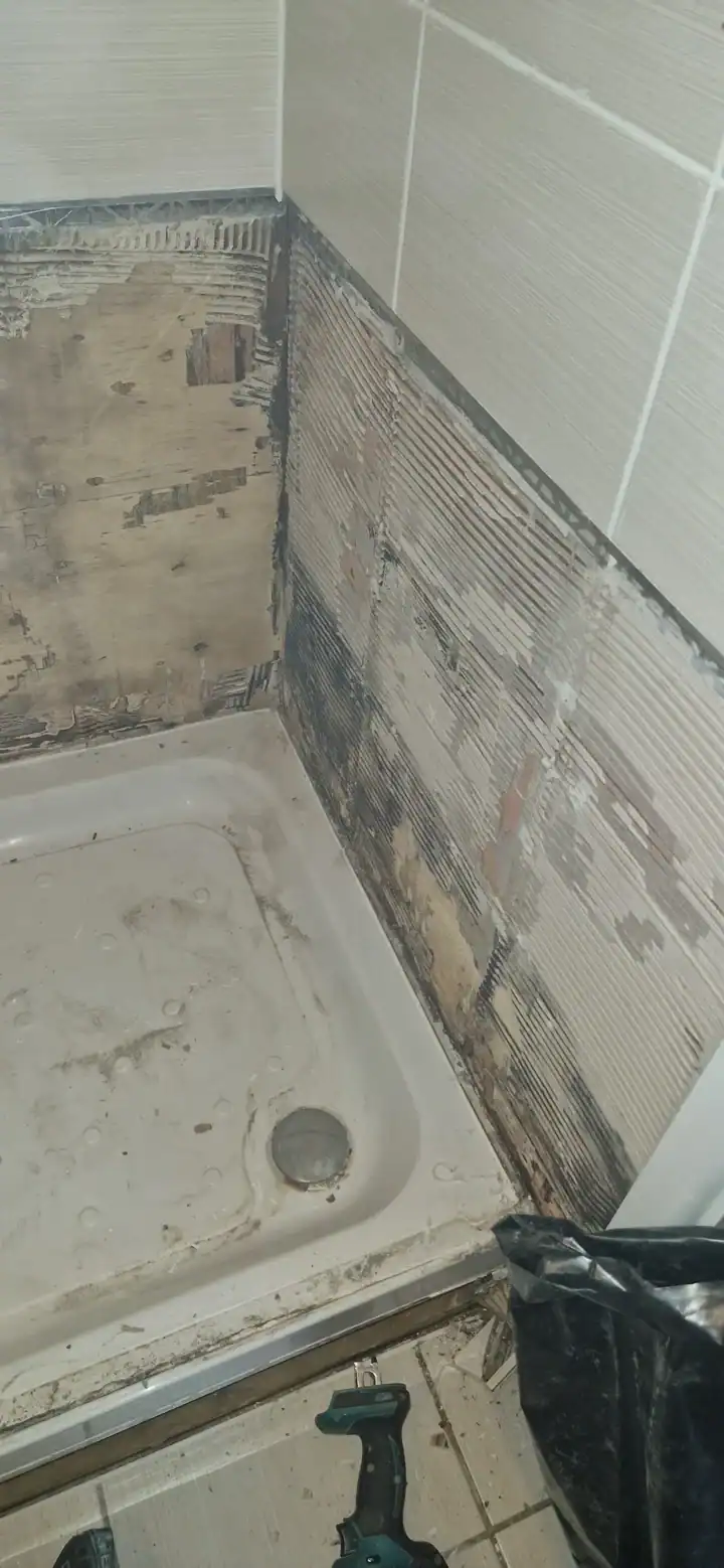 Luxury Shower Refurbishment Kb 02