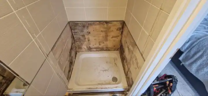 Luxury Shower Refurbishment Kb 03
